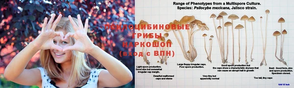 прущий лед Алексин