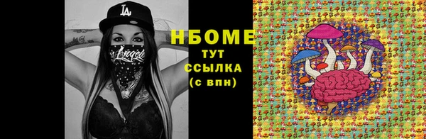соль ск Алзамай