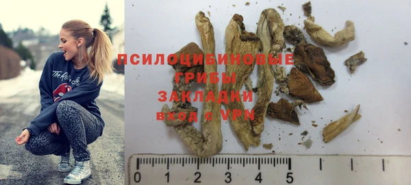 твердый Алексеевка