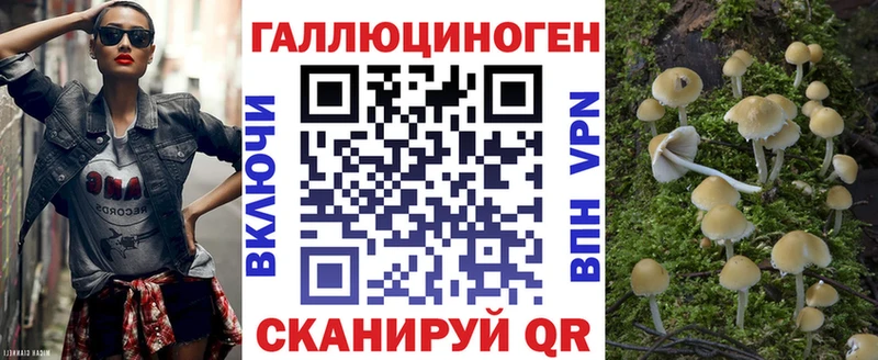 Псилоцибиновые грибы GOLDEN TEACHER  купить закладку  Советская Гавань 